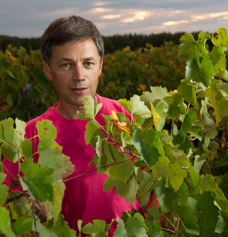 Château Clos Mignon