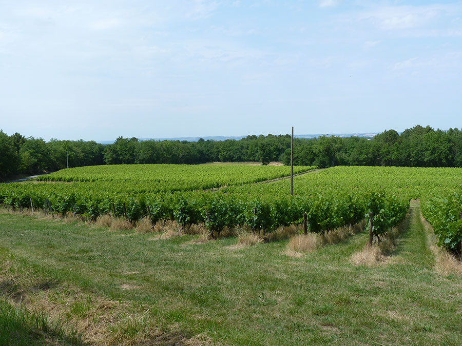 Domaine de Saint Guilhem