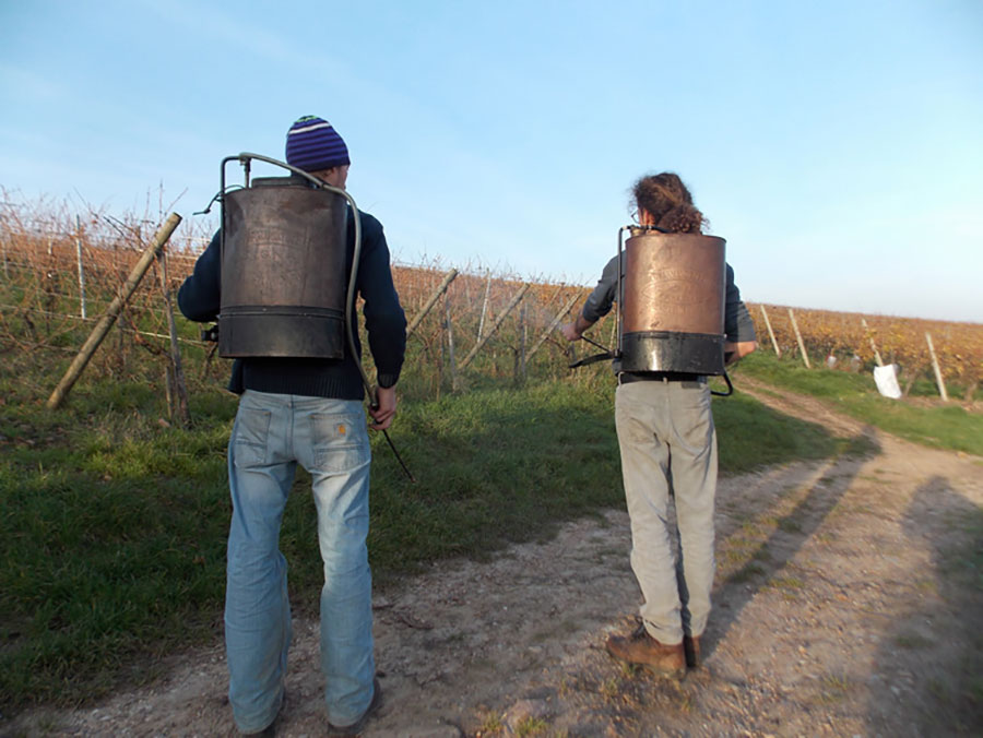 Domaine Kuentz-Bas