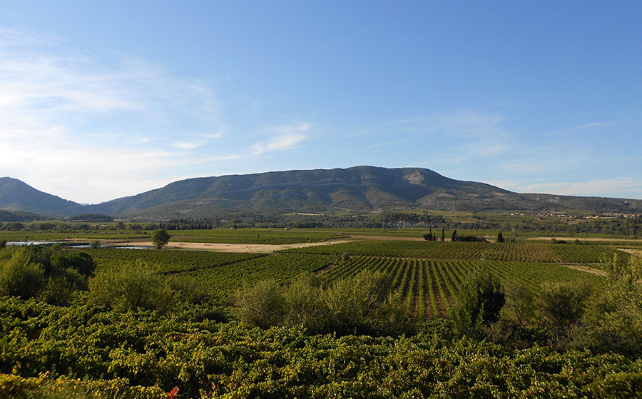 Domaine Romanissa
