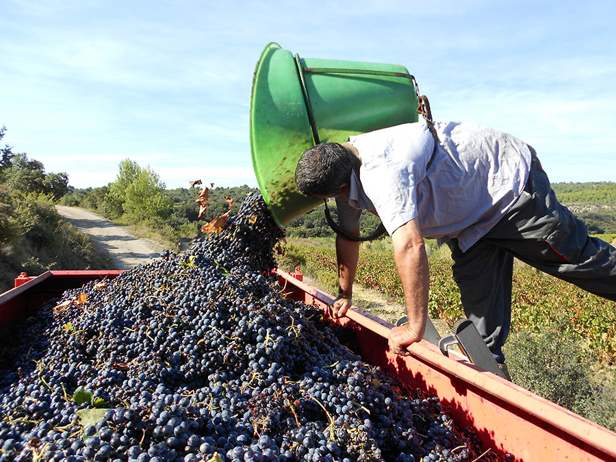 Domaine Romanissa