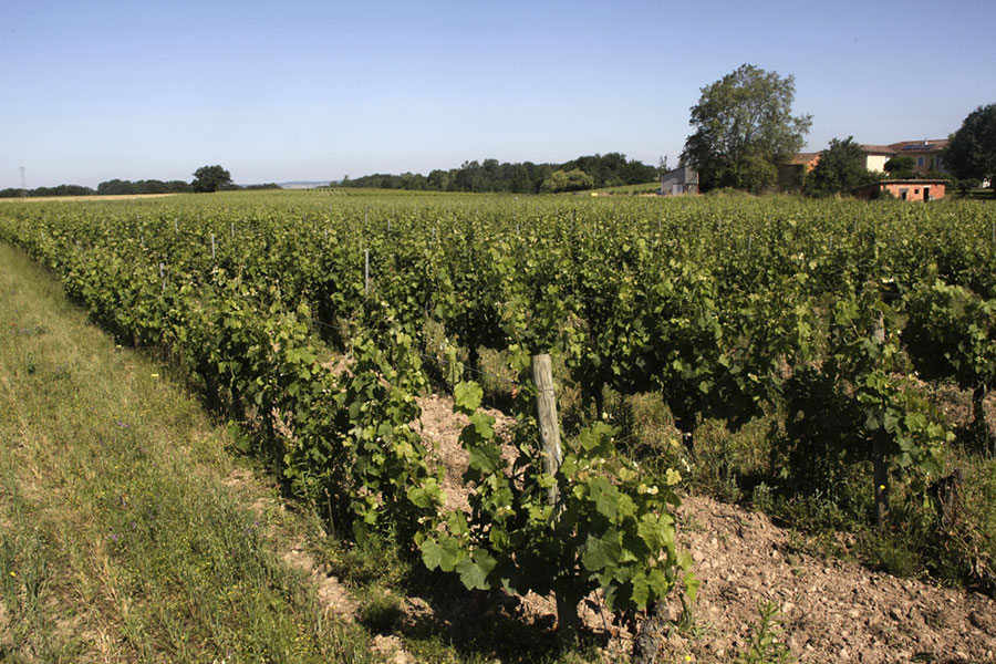 Domaine Rotier
